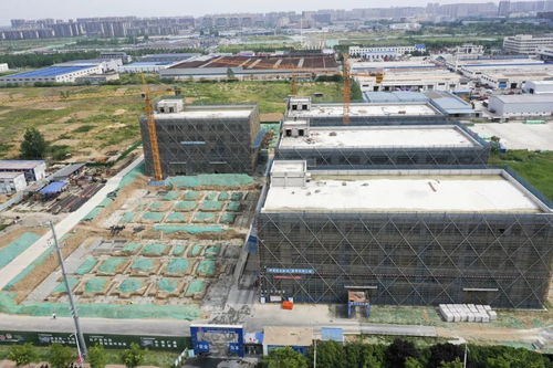 宿遷搶抓“它經(jīng)濟(jì)”新風(fēng)口 50億級(jí)寵物經(jīng)濟(jì)產(chǎn)業(yè)園蓄勢(shì)待發(fā)